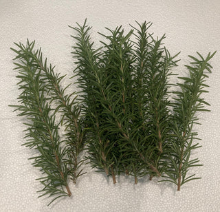 Organic Fresh Rosemary-Cut upon order, homegrown with FREE SHIPPING