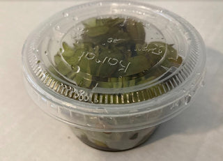 Water Spangles (Salvania minima) 4 oz cup live aquatic plant