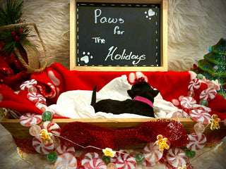 Goldendoodle Puppies: