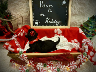 Goldendoodle Puppies: