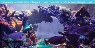 CaribSea – LifeRock for Aquascapes and Reefs (20 lb box)