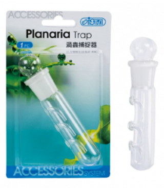 ISTA PLANARIA TRAP