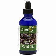 Coral RX Pro- Concentated Coral Dip 1oz