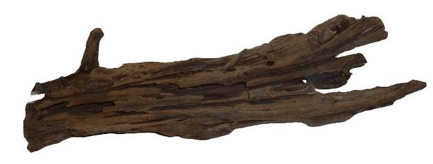 Malaysian Driftwood 1 Medium piece