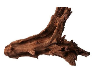 Malaysian Driftwood 1 Medium piece