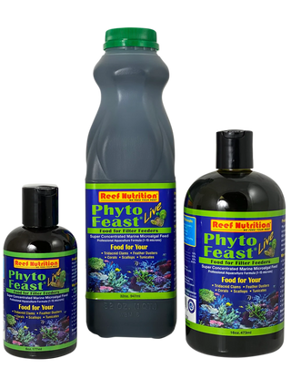 Phyto Feast Concentrate - 6oz, 16oz, and 32oz