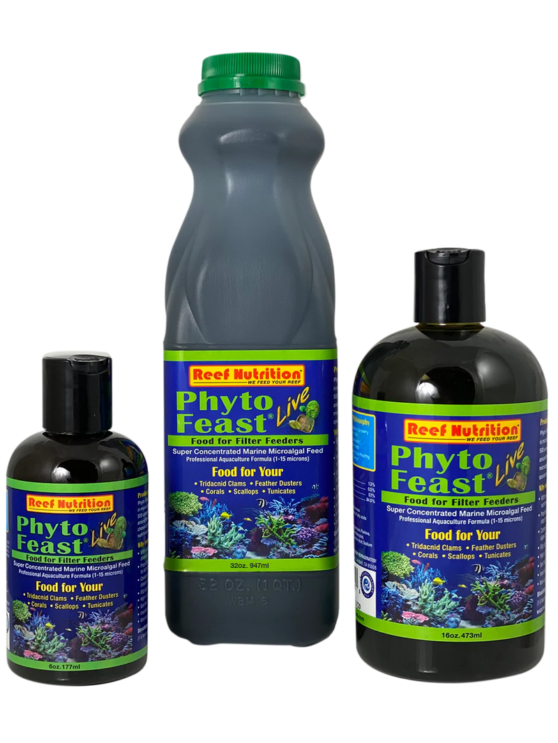 Phyto Feast Concentrate - 6oz, 16oz, and 32oz